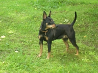 Mamma Zenta Exigors Zuper Zenta