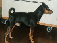 Atti och Amies föräldrar och syskon