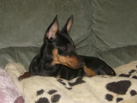 Brizbys föräldrar och syskon