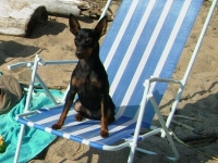 Brizbys föräldrar och syskon