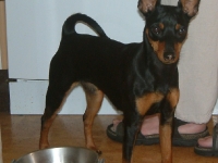 Brizbys föräldrar och syskon