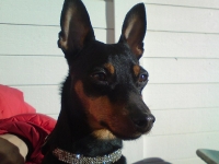 Bizette-Bisous, Aska