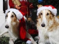 Hudarnas högtidsbilder