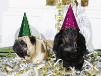 Hudarnas högtidsbilder