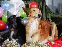 Hudarnas högtidsbilder