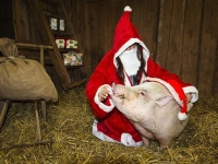 Hudarnas högtidsbilder