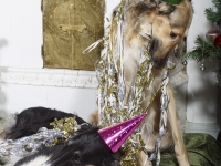 Hudarnas högtidsbilder