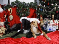 Hudarnas högtidsbilder