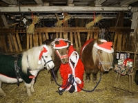 Hudarnas högtidsbilder