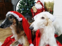 Gina och Doris julbild 2011