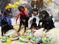 Atti, Amie, Brizbys påskbild 2012