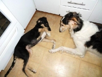 H-kullen och E-Kullen