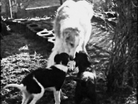 H-kullen och E-Kullen