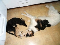 H-kullen och E-Kullen