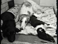 H-kullen och E-Kullen