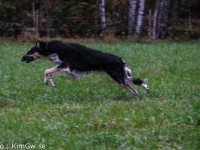 2014-10-18  Herakles, Herkules