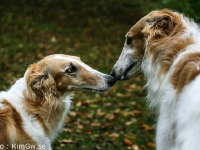 2014-10-18 Erebos, Bozze och Grace