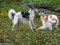 2014-10-18  Euhemeros, Platon och Grace