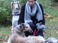 2014-10-18  Hestia, Enya och Cayenne