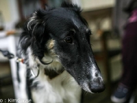 2014-10-18  Hemera, Emmyloo