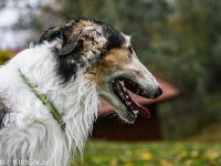 2014-10-18  Euhemeros, Platon