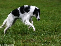 2014-10-18  Hel, Lajka