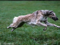 2014-10-18 Hebe, Cayenne