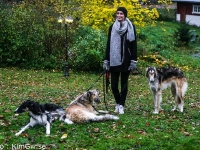 2014-10-18  Cayenne, Hazel och Hestia, Enya