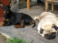 Brizby och Tosca solar