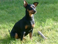 Brizby